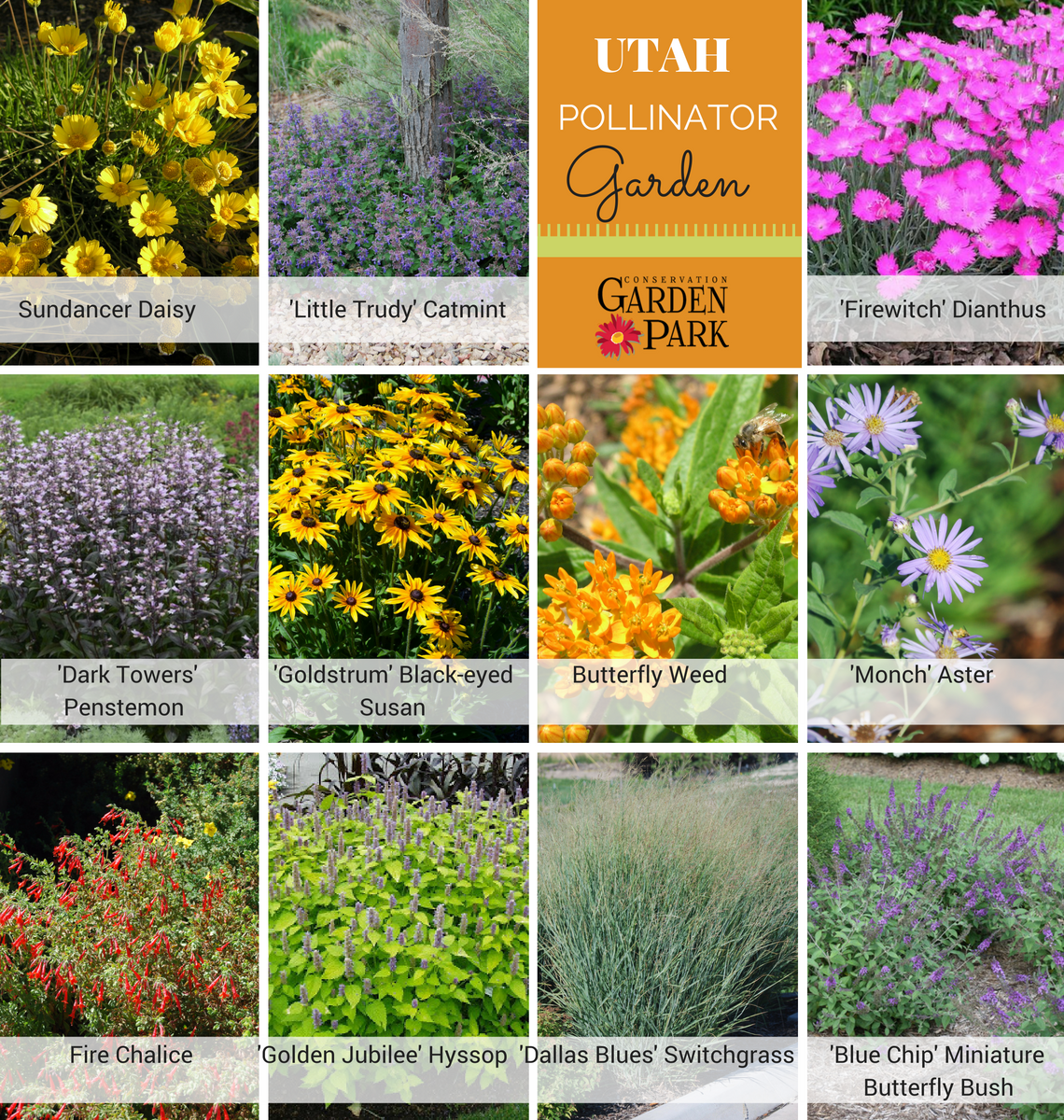 utah-friendly-pollinator-garden